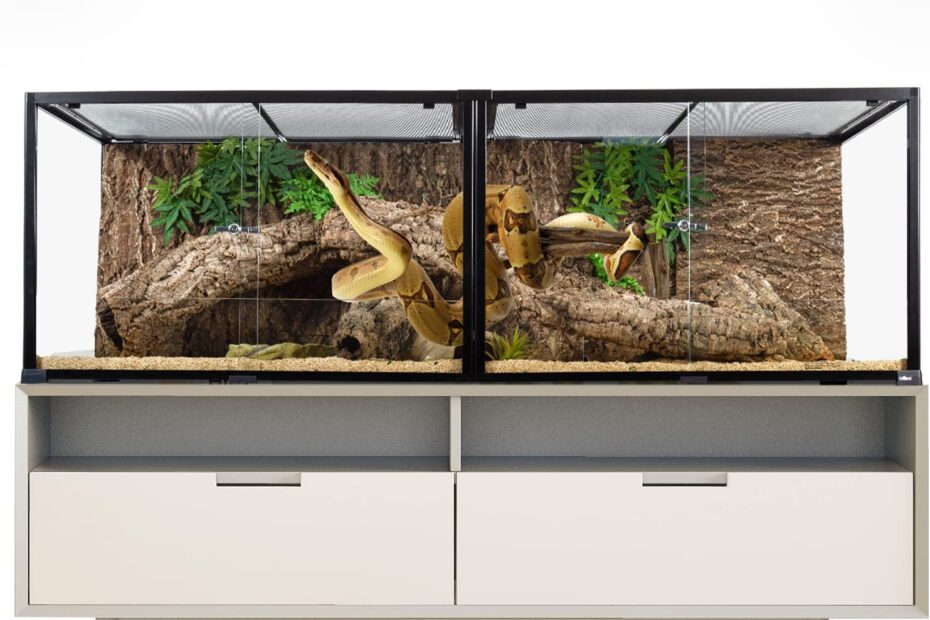 Oiibo Reptile Glass Tank Review