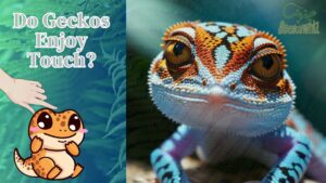 The Secret: Do Geckos Enjoy Touch? Unraveling the Mystery
