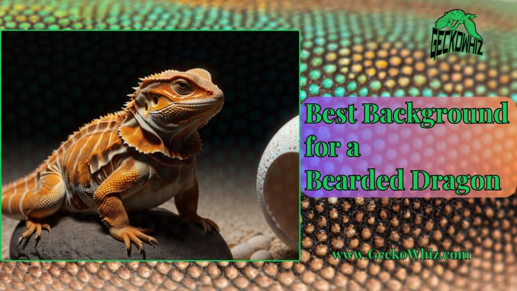 Choosing the Best Background for a Bearded Dragon’s Habitat