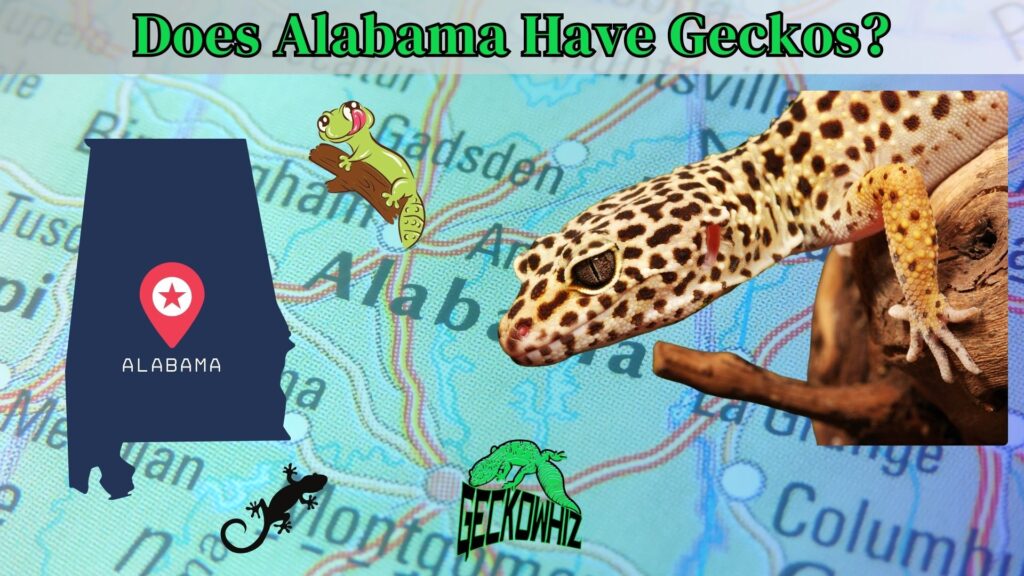 Does Alabama Have Geckos? Explore the Answer Today!