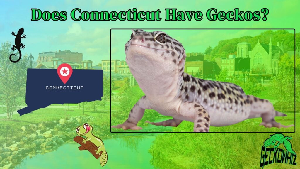 Does Connecticut Have Geckos? Exploring Local Wildlife