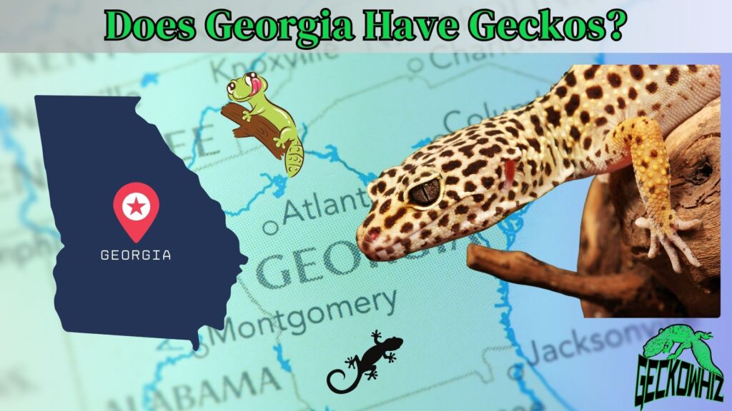 Your Gecko Guide: Does Georgia Have Geckos?