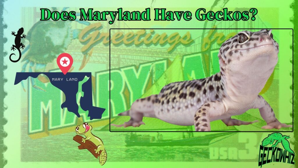 Does Maryland Have Geckos? Discover Local Wildlife Facts