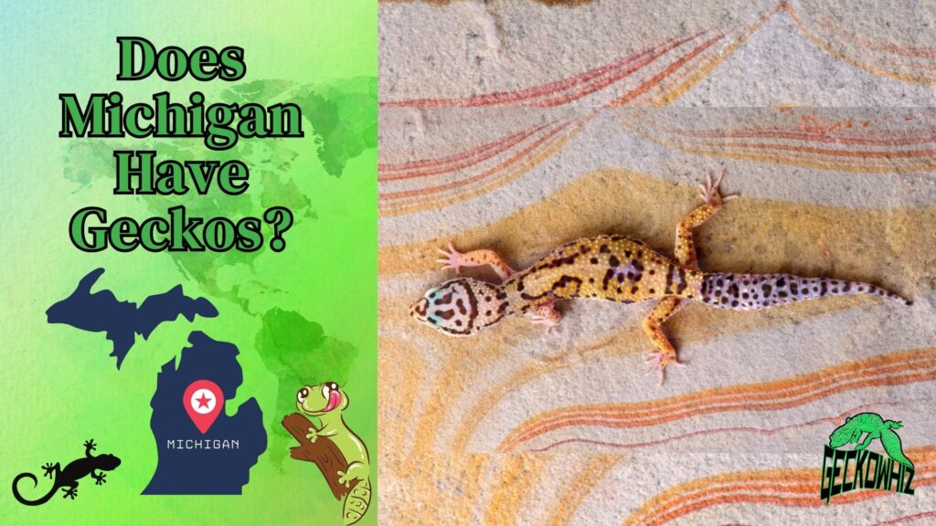 Does Michigan Have Geckos?