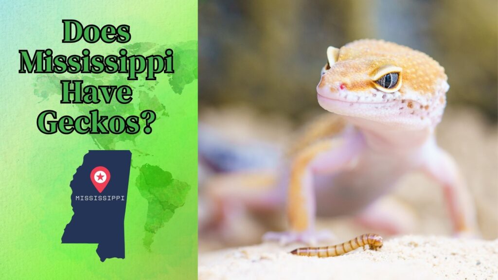 Does Mississippi Have Geckos? Exploring Local Wildlife