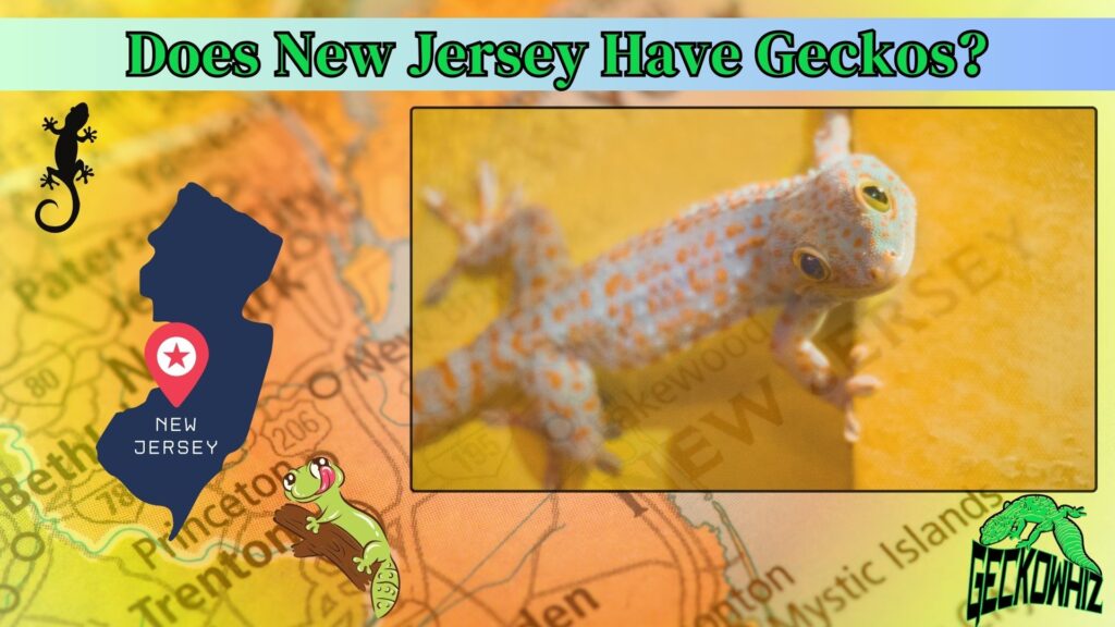 Does New Jersey Have Geckos? Uncovering the Truth